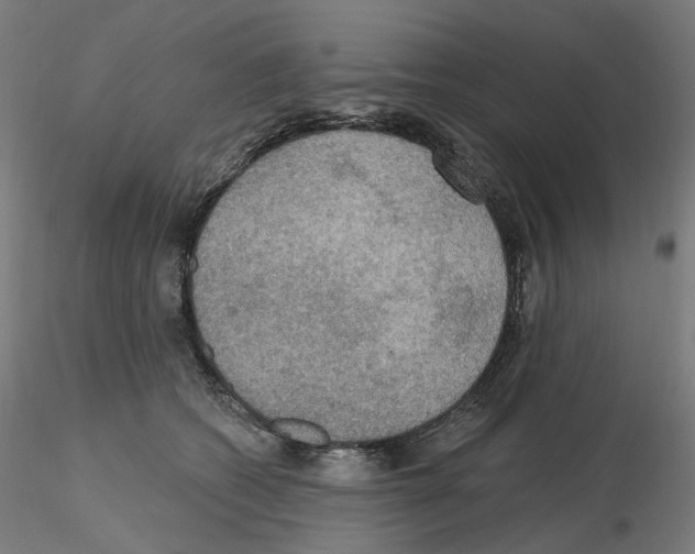 X0000115610562200912221209