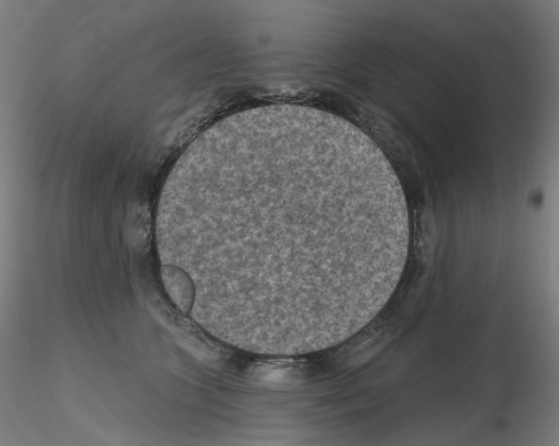 X0000115610563200912221209