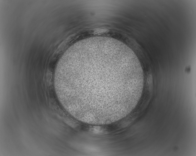 X0000115610565200912221209