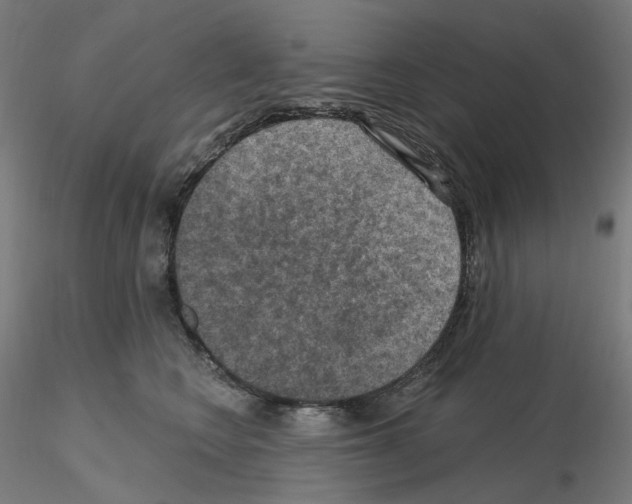 X0000115610566200912221209