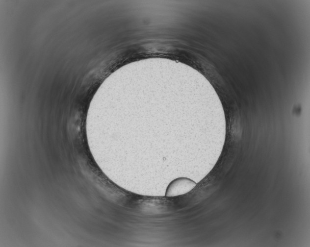 X0000115610567200912221209