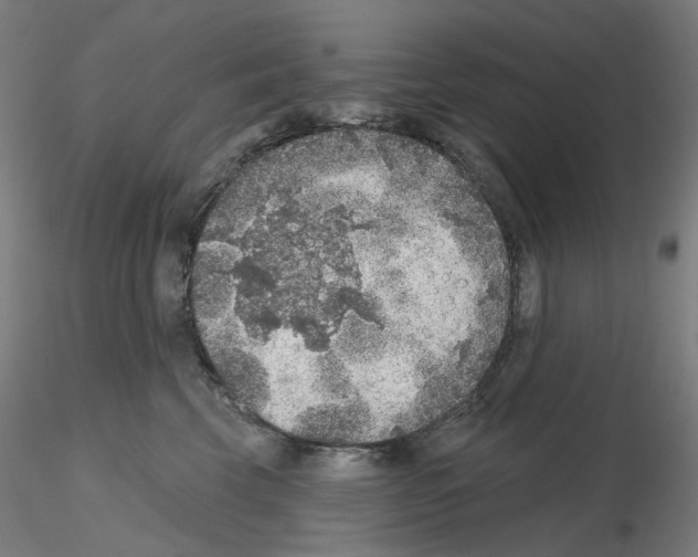 X0000115610569200912221209