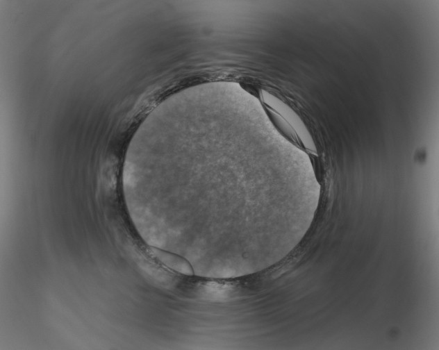 X0000115610570200912221209