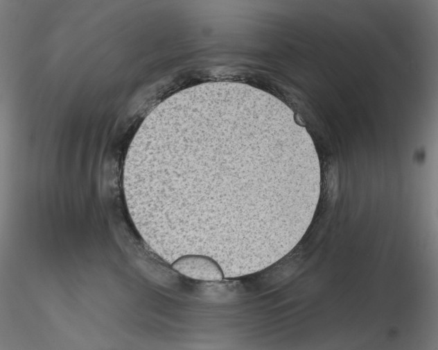 X0000115610571200912221209