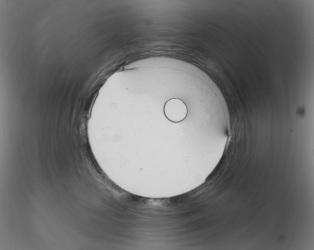 X0000115610573200912221210