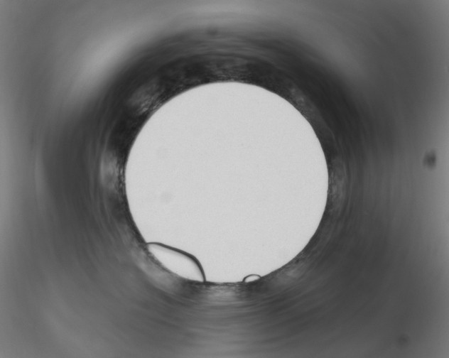 X0000115610574200912221210