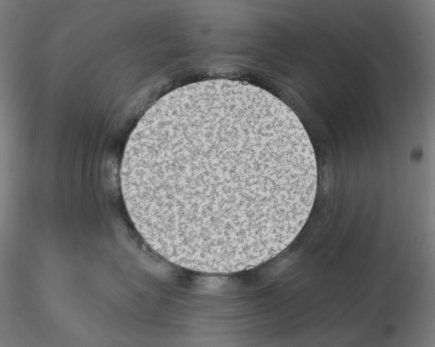 X0000115610575200912221210