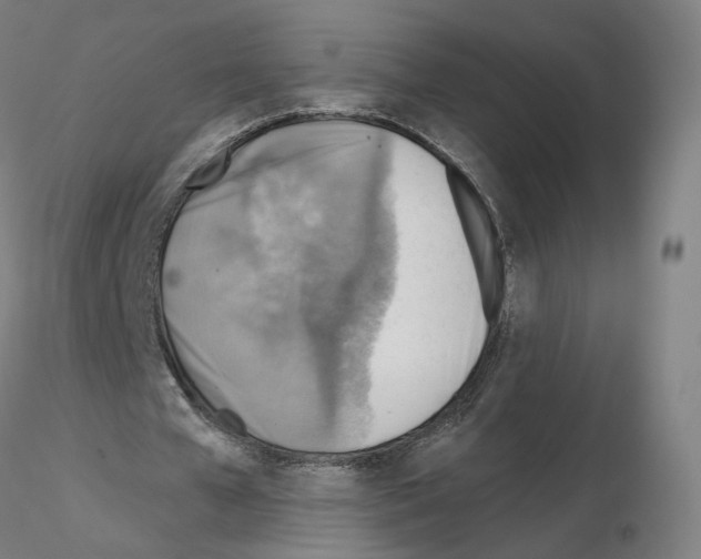 X0000115610577200912221209