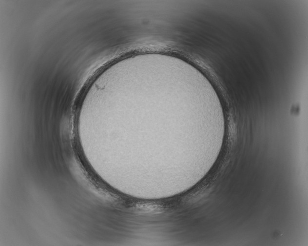 X0000115610582200912221209