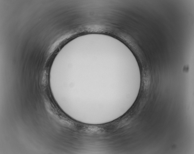 X0000115610583200912221209