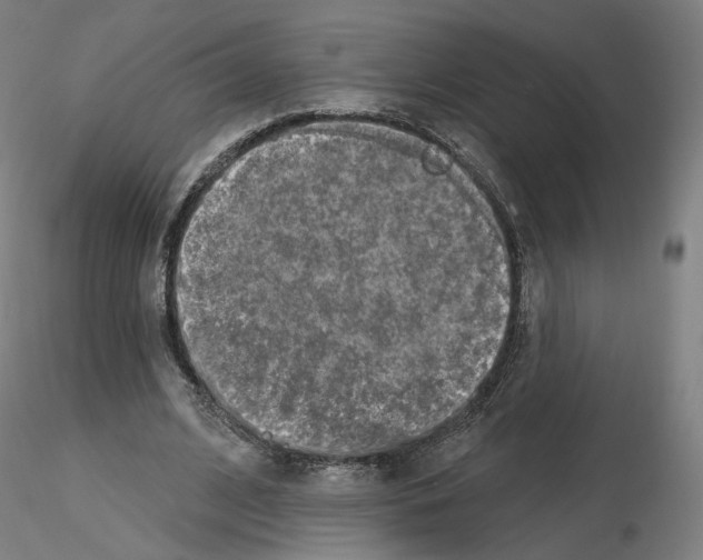 X0000115610584200912221209
