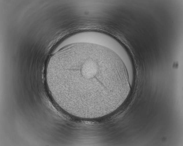 X0000115610585200912221209