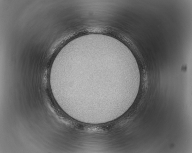 X0000115610586200912221209
