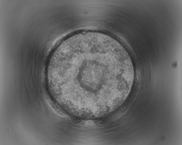 X0000115610588200912221209