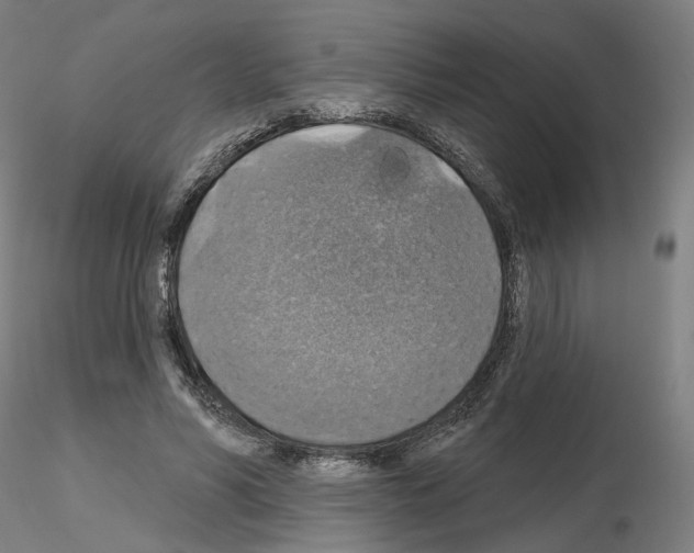 X0000115610590200912221209