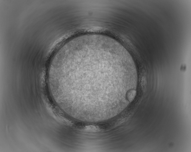 X0000115610591200912221209