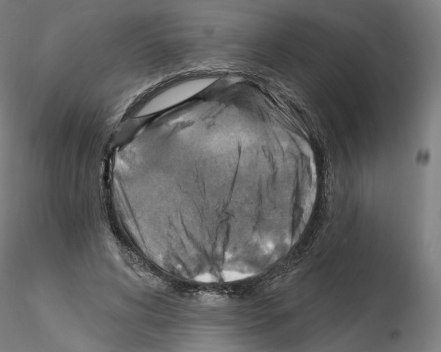 X0000115610592200912221209