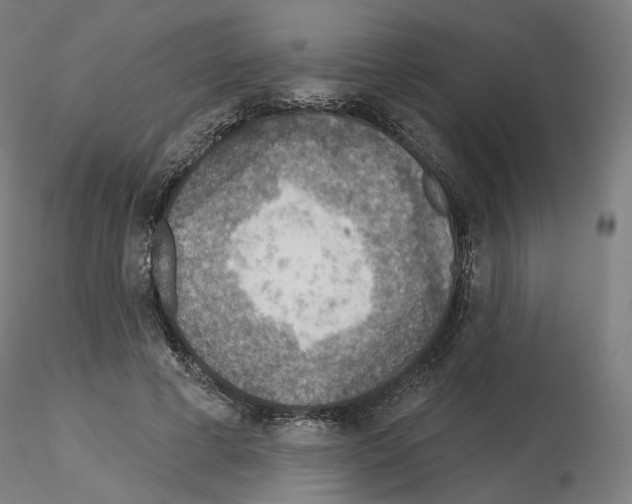 X0000115610593200912221209