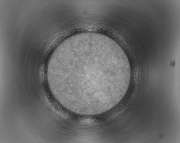 X0000115610594200912221209