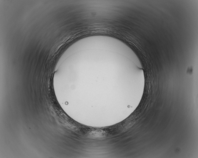 X0000115610595200912221209