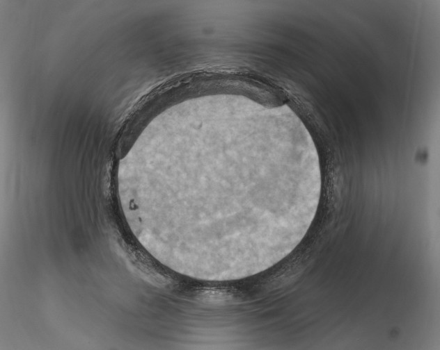X0000115610596200912221209