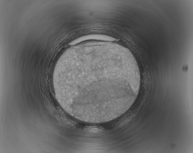 X0000115610597200912221209