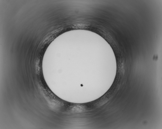 X0000115610599200912221209