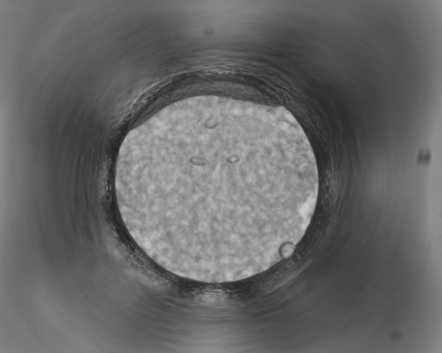 X0000115610600200912221209