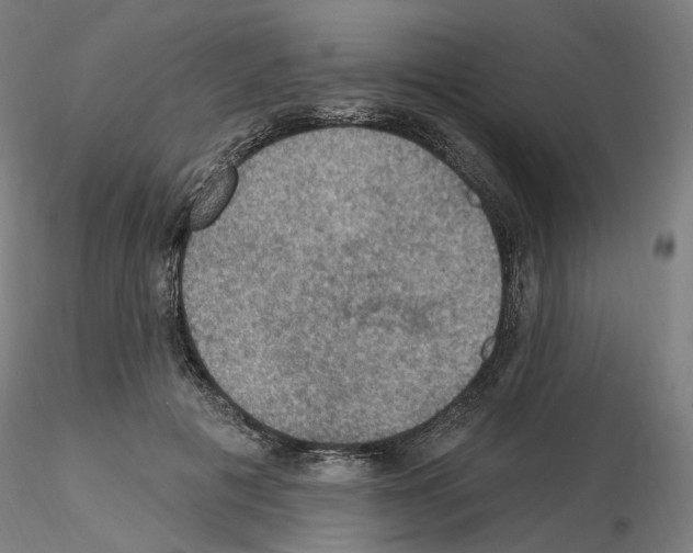 X0000115610601200912221209