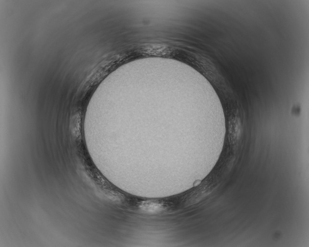 X0000115610602200912221209