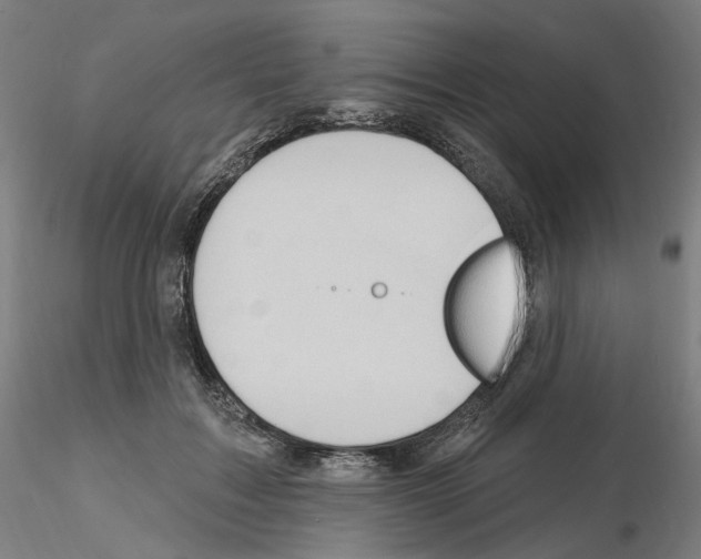 X0000115610603200912221209