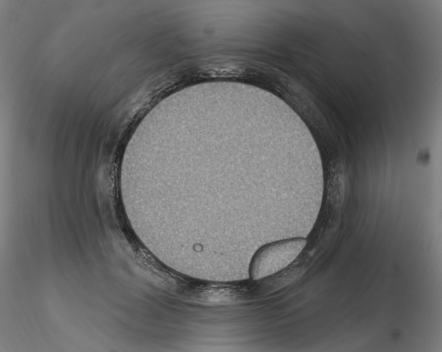 X0000115610604200912221209