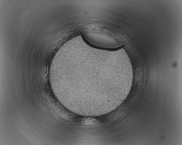 X0000115610605200912221209