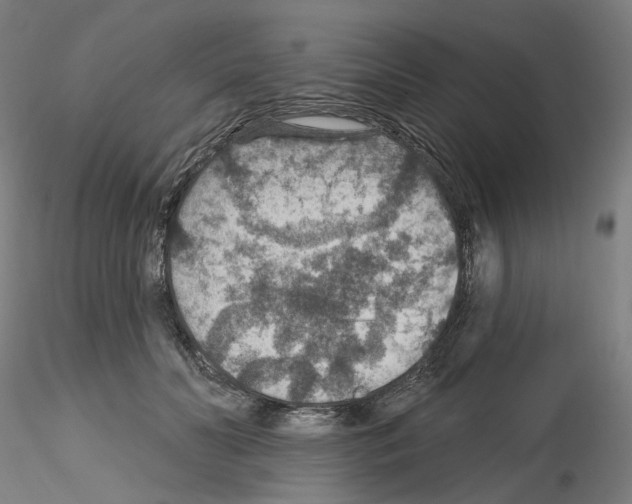 X0000115610606200912221209
