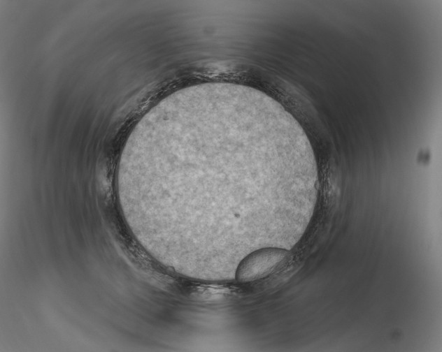 X0000115610607200912221208