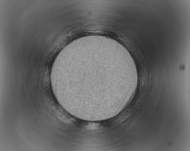 X0000115610609200912221208