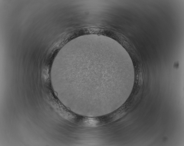 X0000115610610200912221208