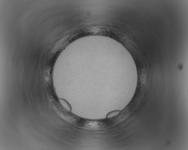 X0000115610611200912221208