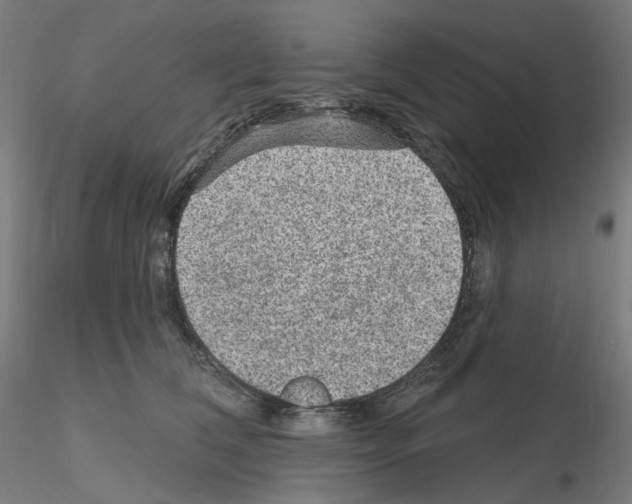 X0000115610612200912221208