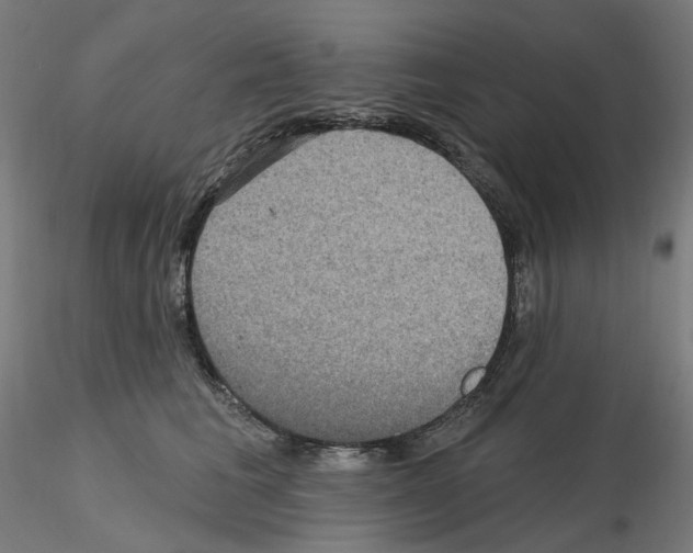 X0000115610613200912221208