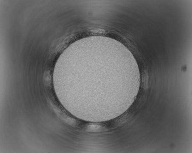 X0000115610614200912221208