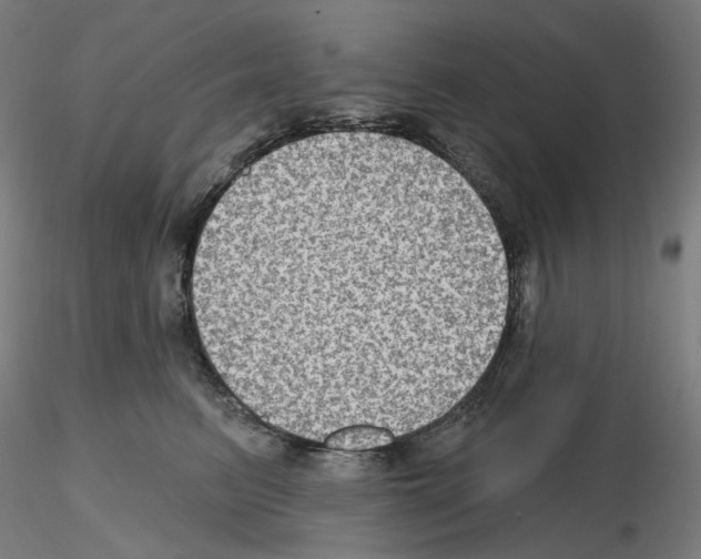 X0000115610615200912221208