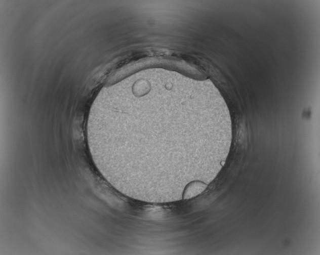 X0000115610616200912221208