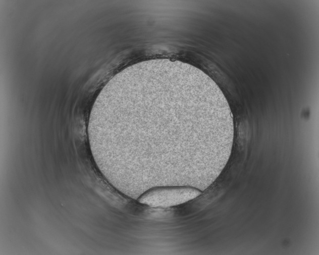 X0000115610617200912221208