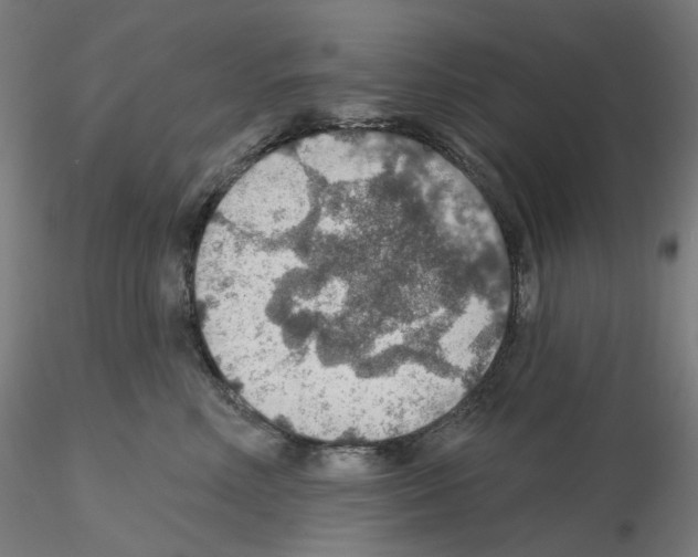X0000115610618200912221208