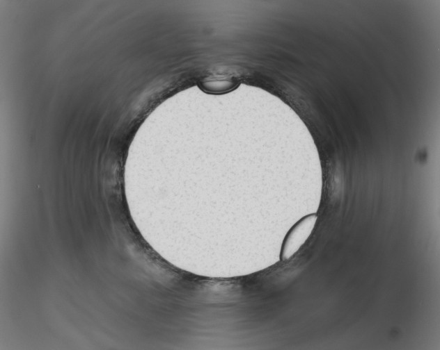 X0000115610619200912221208
