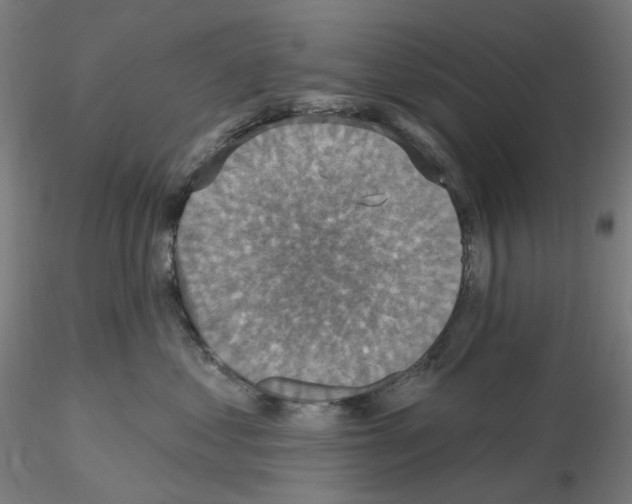 X0000115610621200912221208