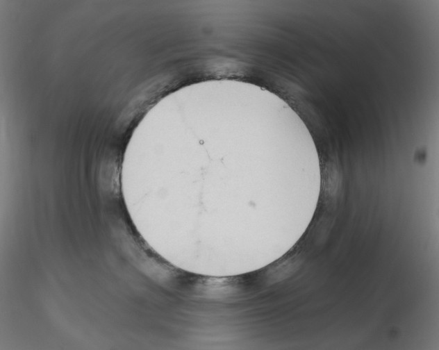 X0000115610622200912221208