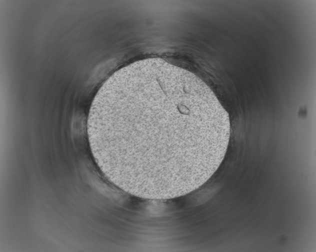 X0000115610623200912221208