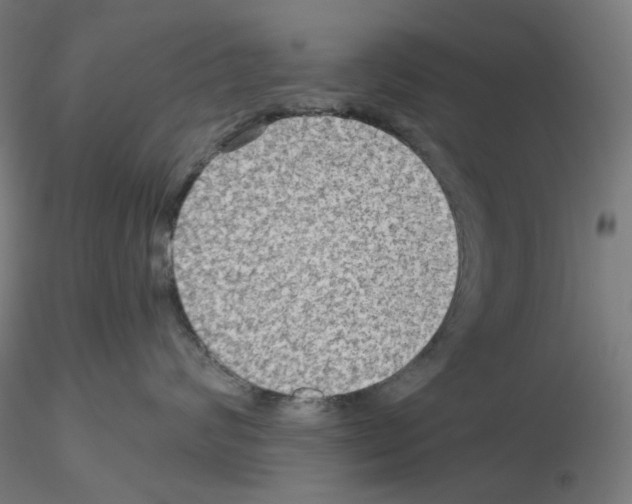 X0000115610624200912221208